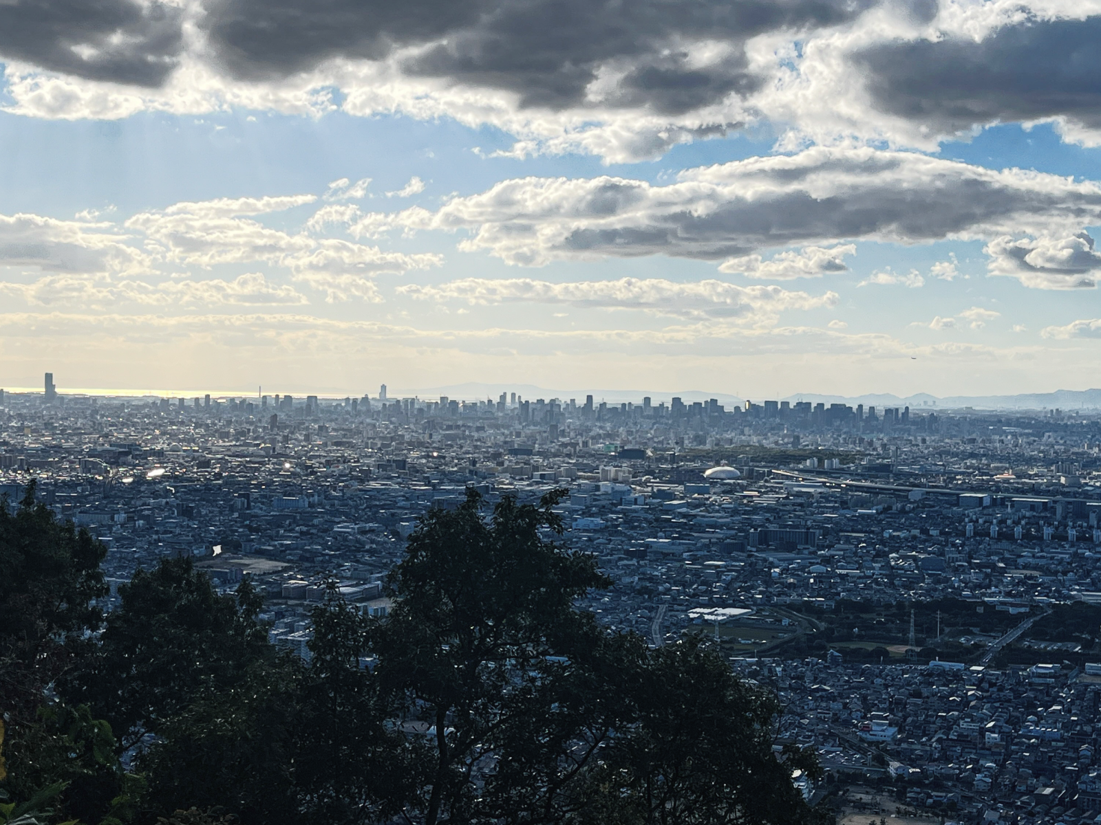 大阪市善根寺の風景